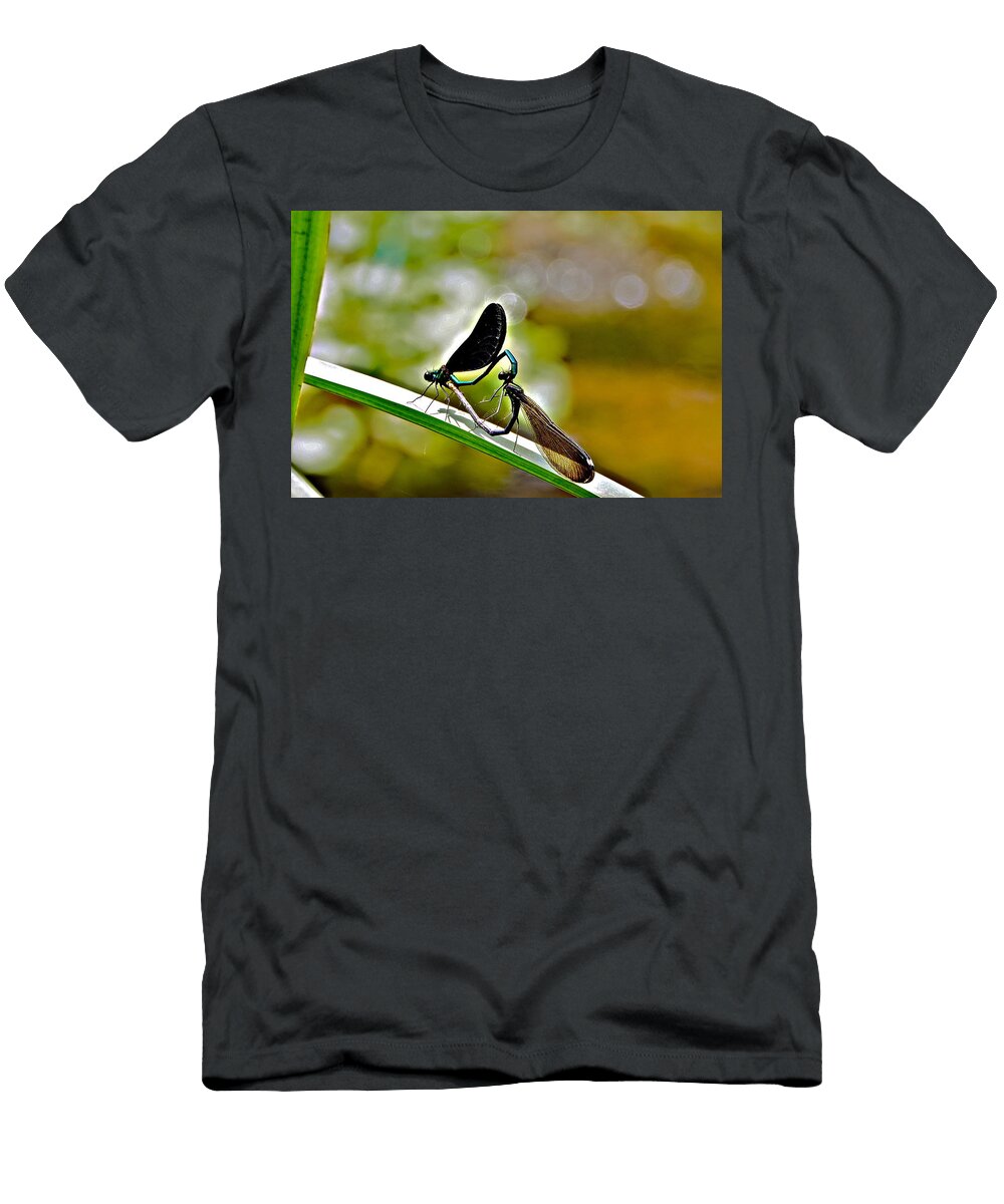 Damselfly Love Is Heart Shaped and Bubbly Byron Varvarigos T-Shirt