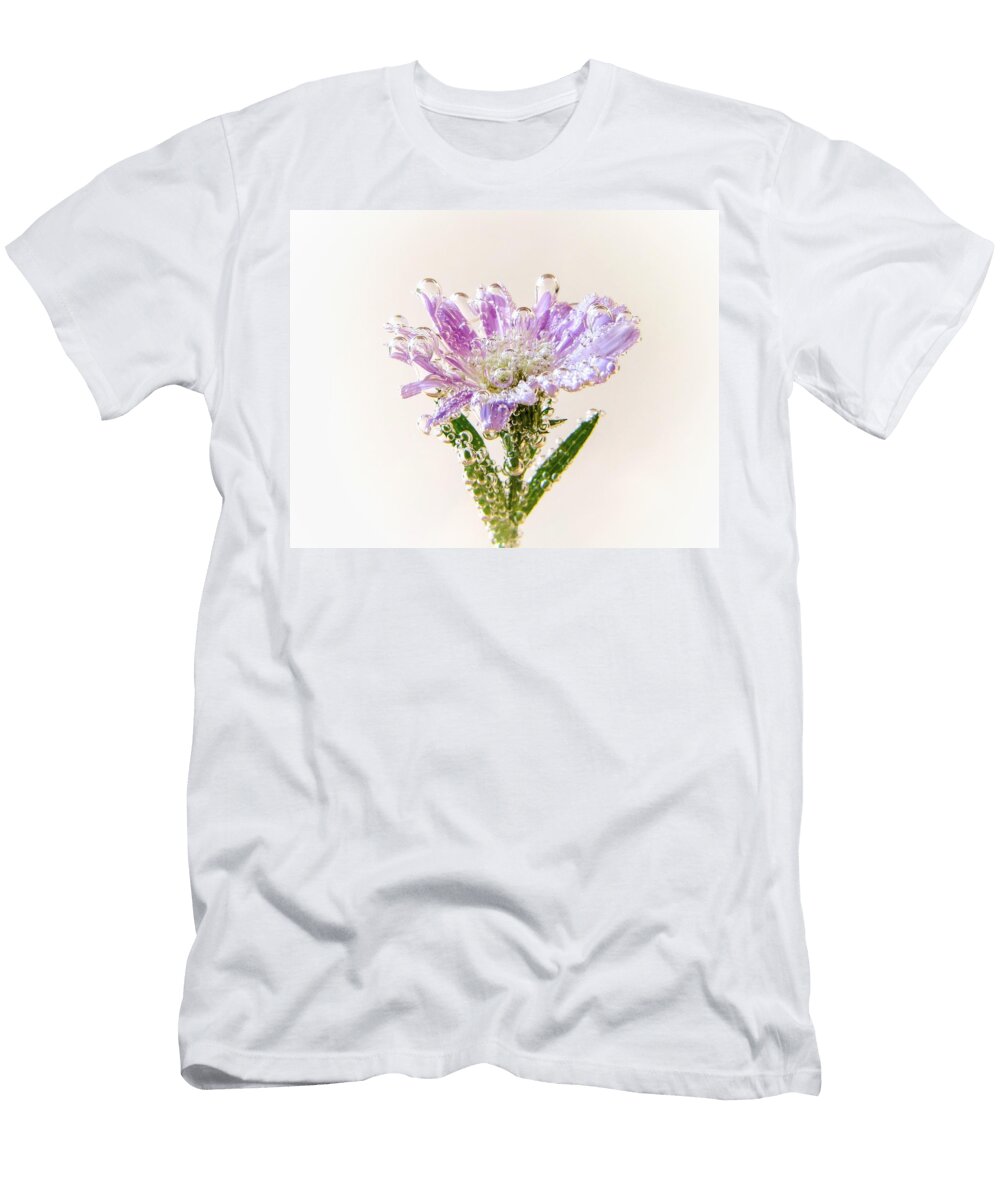Daydream Leanne Perry T-Shirt