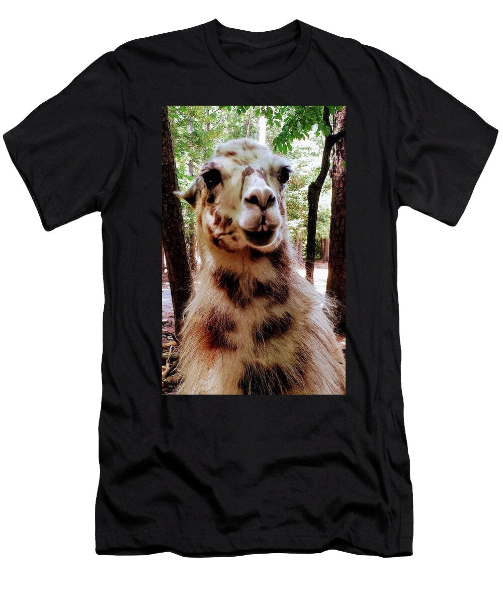 Drama Llama Jennifer Sandy T-Shirt