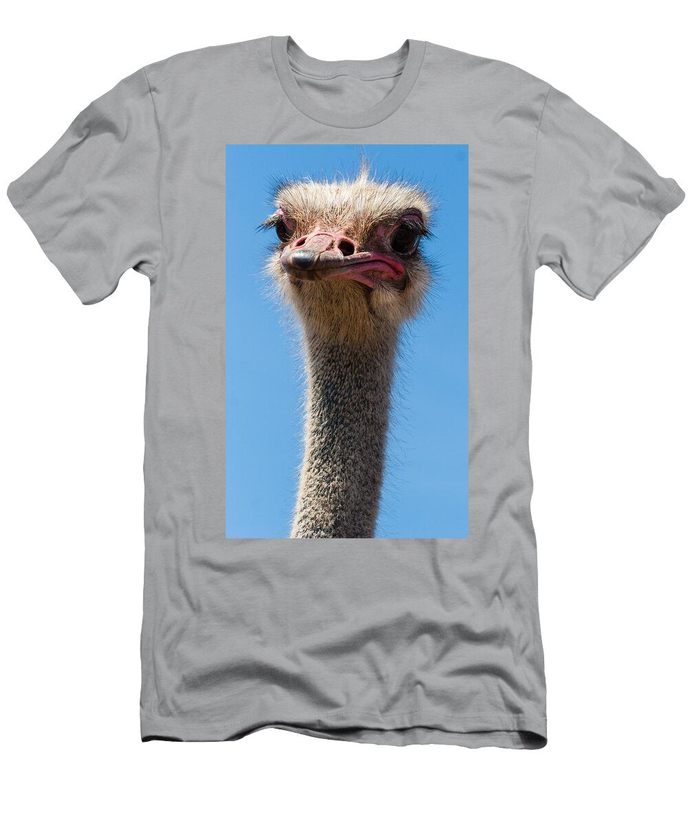 Duh Jean Noren T-Shirt