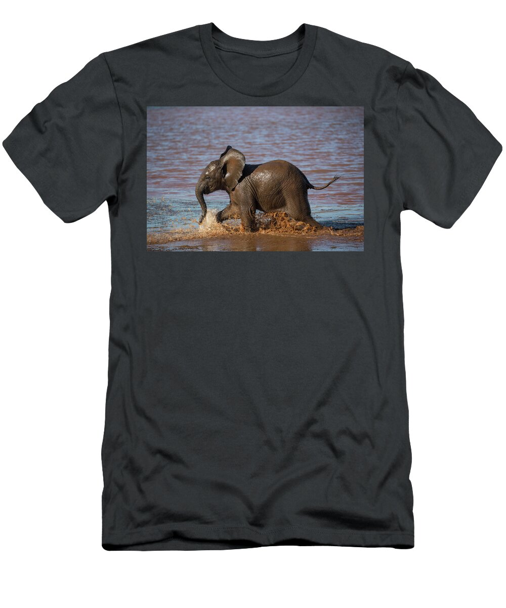 Duplicate Elephant Calf in Water Zimanga Private Game Ann Steve Toon Natureplcom T-Shirt