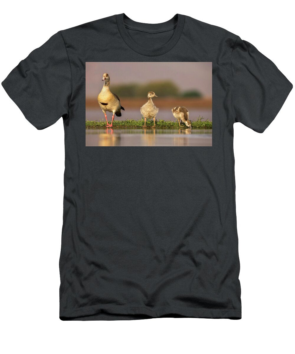Egyptian Goose with Goslings Zimanga Private Game Reserve Ann Steve Toon Natureplcom T-Shirt