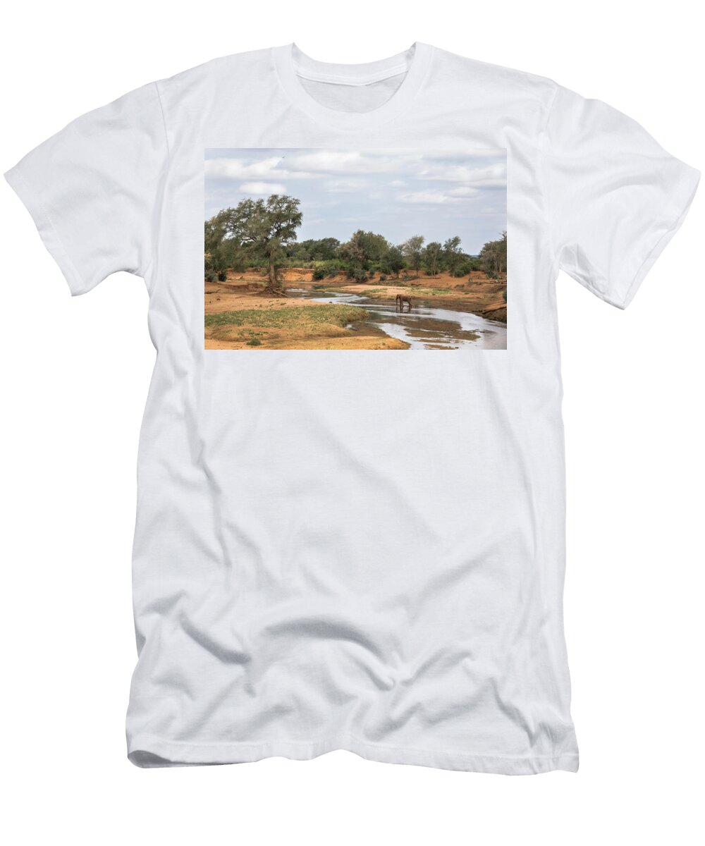 Elephant in Shingwedzi River Bed Kruger National Park Ann Steve Toon Natureplcom T-Shirt
