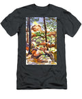 Elephant Rocks Revisited Iib Kip Devore T-Shirt