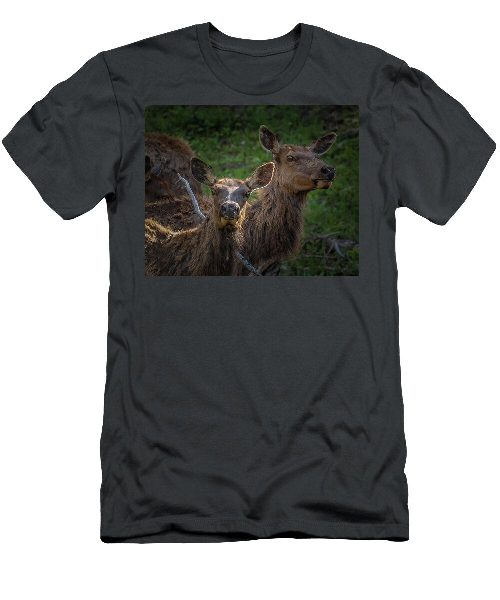Elk Looking Goofy David Demarest T-Shirt