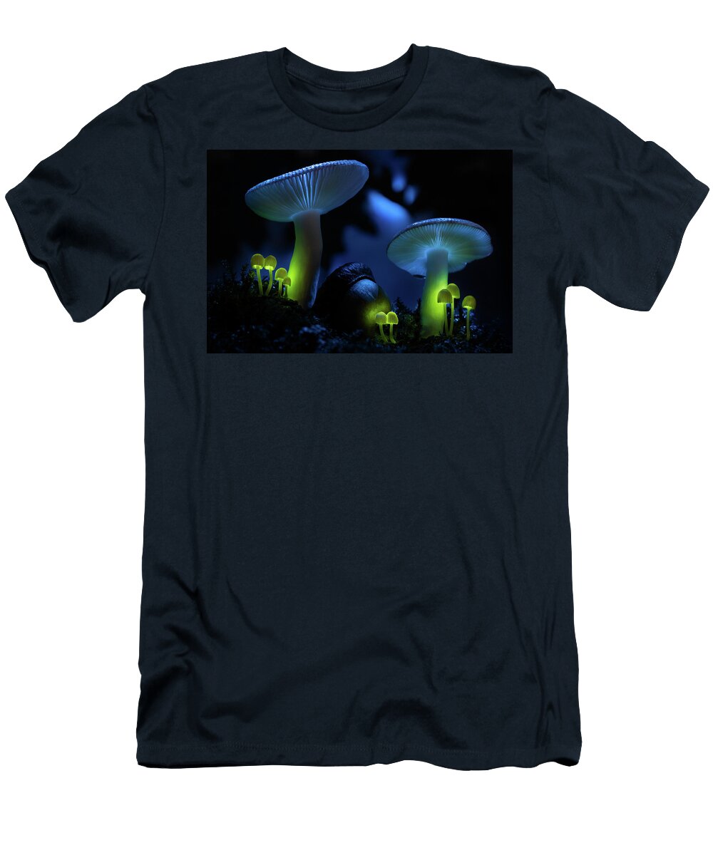 Enchantment Eric Sterns T-Shirt