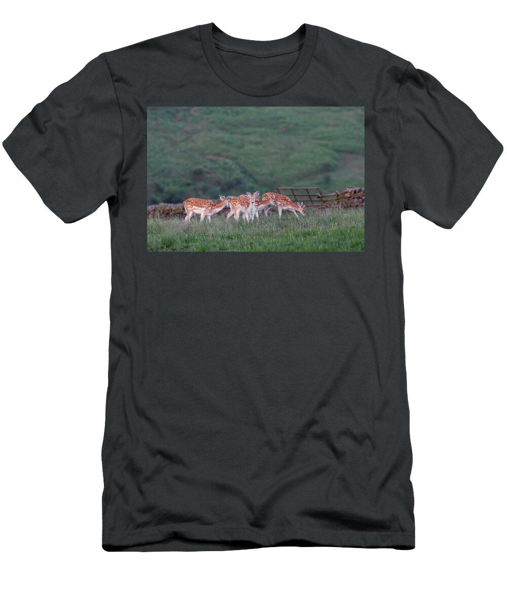 Fallow Deer Billsmoor Park Northumberland National Park Ann Steve Toon Natureplcom T-Shirt