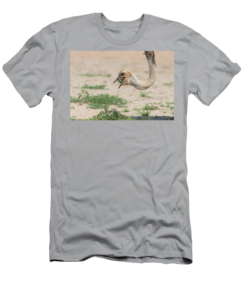 Female Ostrich Feeding on Desert Plants Kgalagadi Ann Steve Toon Natureplcom T-Shirt