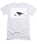 Fieldfare in Snow Eating Apple Northumberland National Ann Steve Toon Natureplcom T-Shirt
