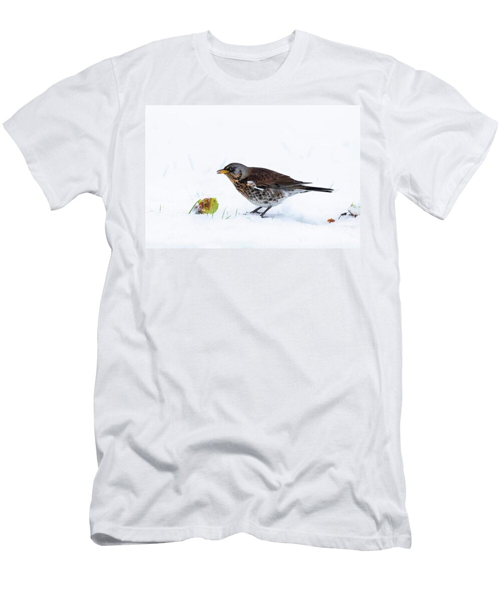 Fieldfare in Snow Eating Apple Northumberland National Ann Steve Toon Natureplcom T-Shirt