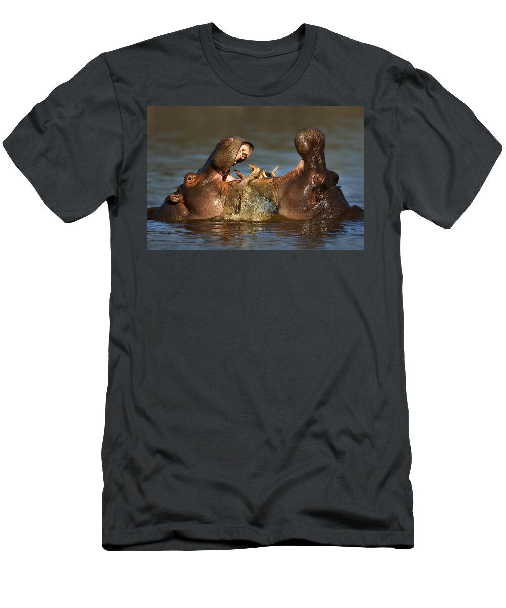Fighting Hippos Johan Swanepoel T-Shirt