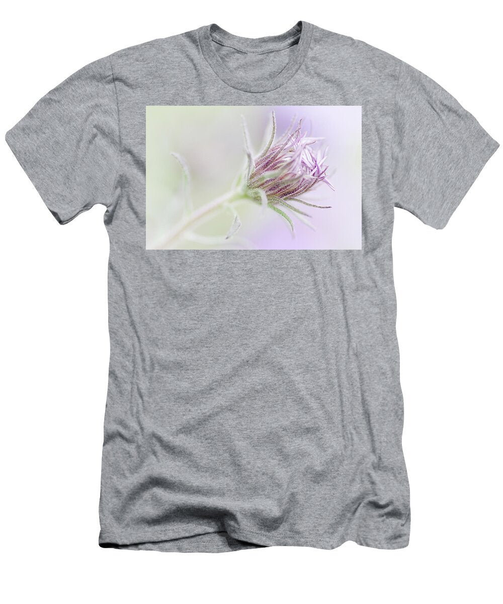 Fizzy Thistledown Tif Stoate T-Shirt