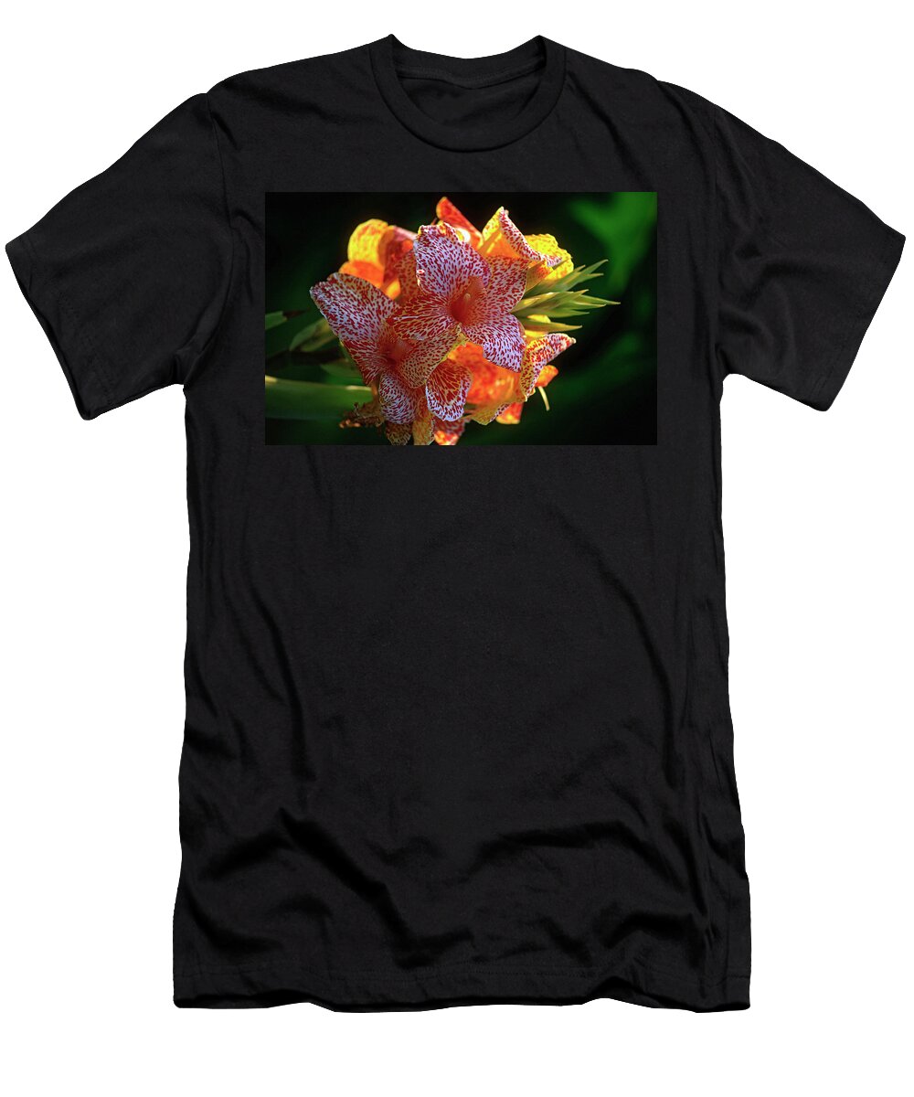 Flower Ferruccio Carassale T-Shirt