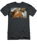 Forgiveness Eva Maria Nova T-Shirt