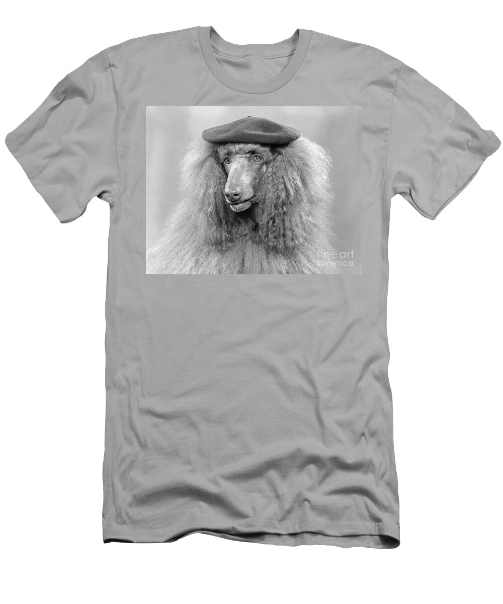 French Poodle Wearing Beret C1970s H Armstrong Robertsclassicstock T-Shirt