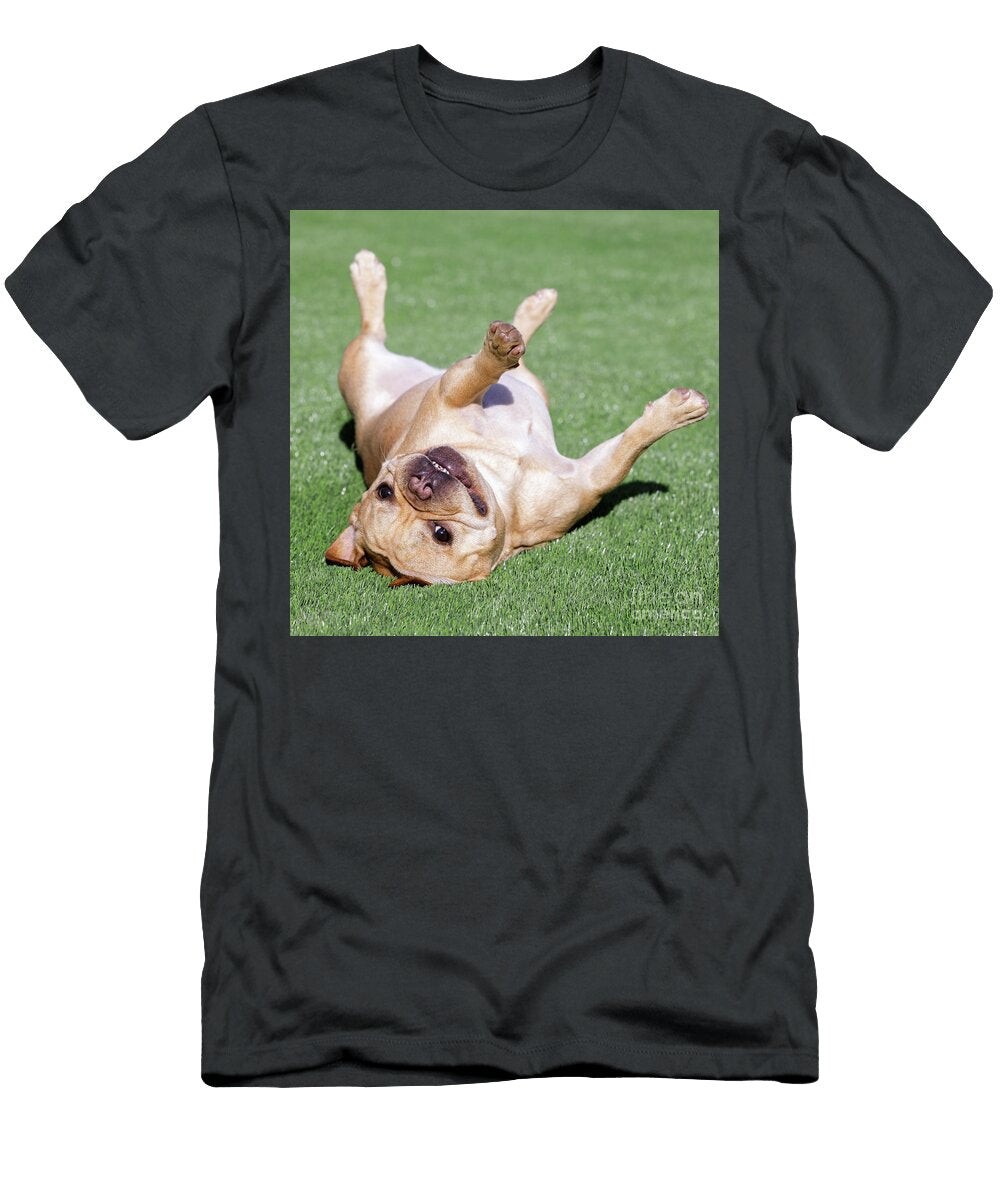 Frenchie Rolling Over Grass and Goofing Off Yuval Helfman T-Shirt