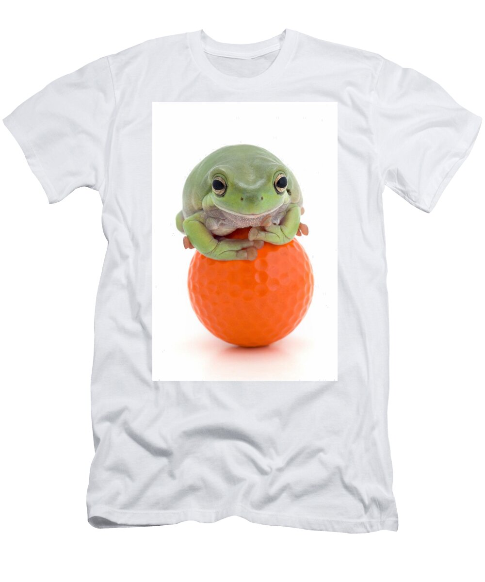 Frog on a Golf Ball Corey Hochachka T-Shirt