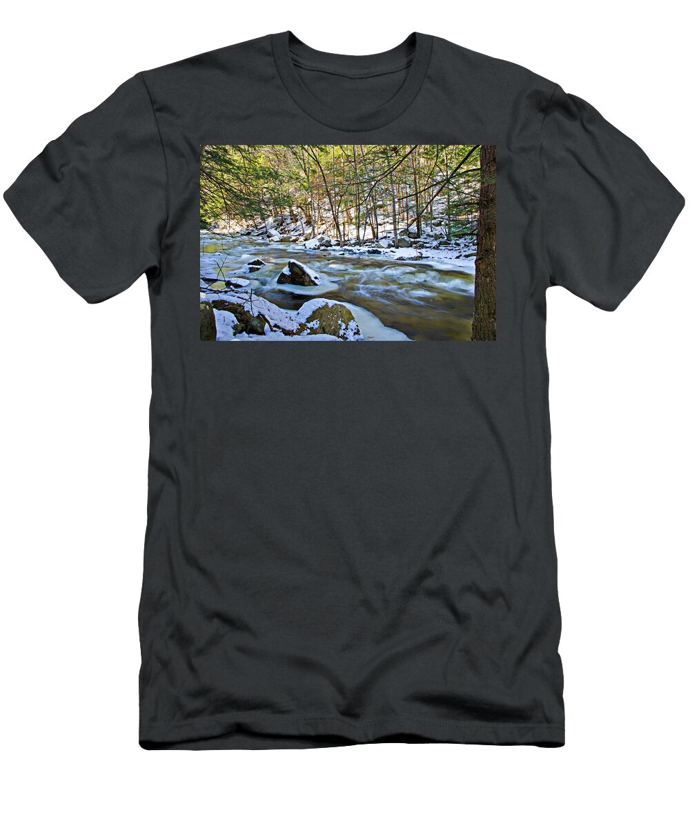 Frosty River Donna Doherty T-Shirt