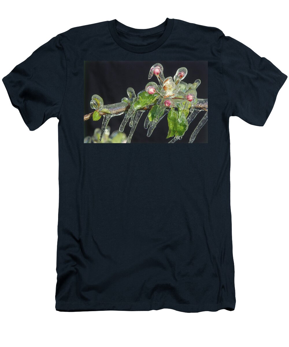 Frozen Fruit Tree Udo Bernhart T-Shirt