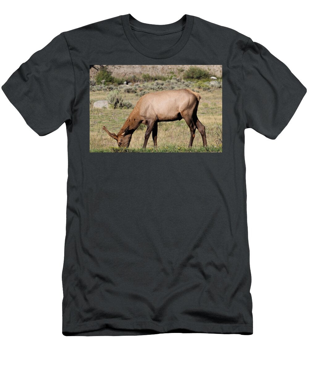 Fuzzy Elk Cafe Brent Jacobs T-Shirt