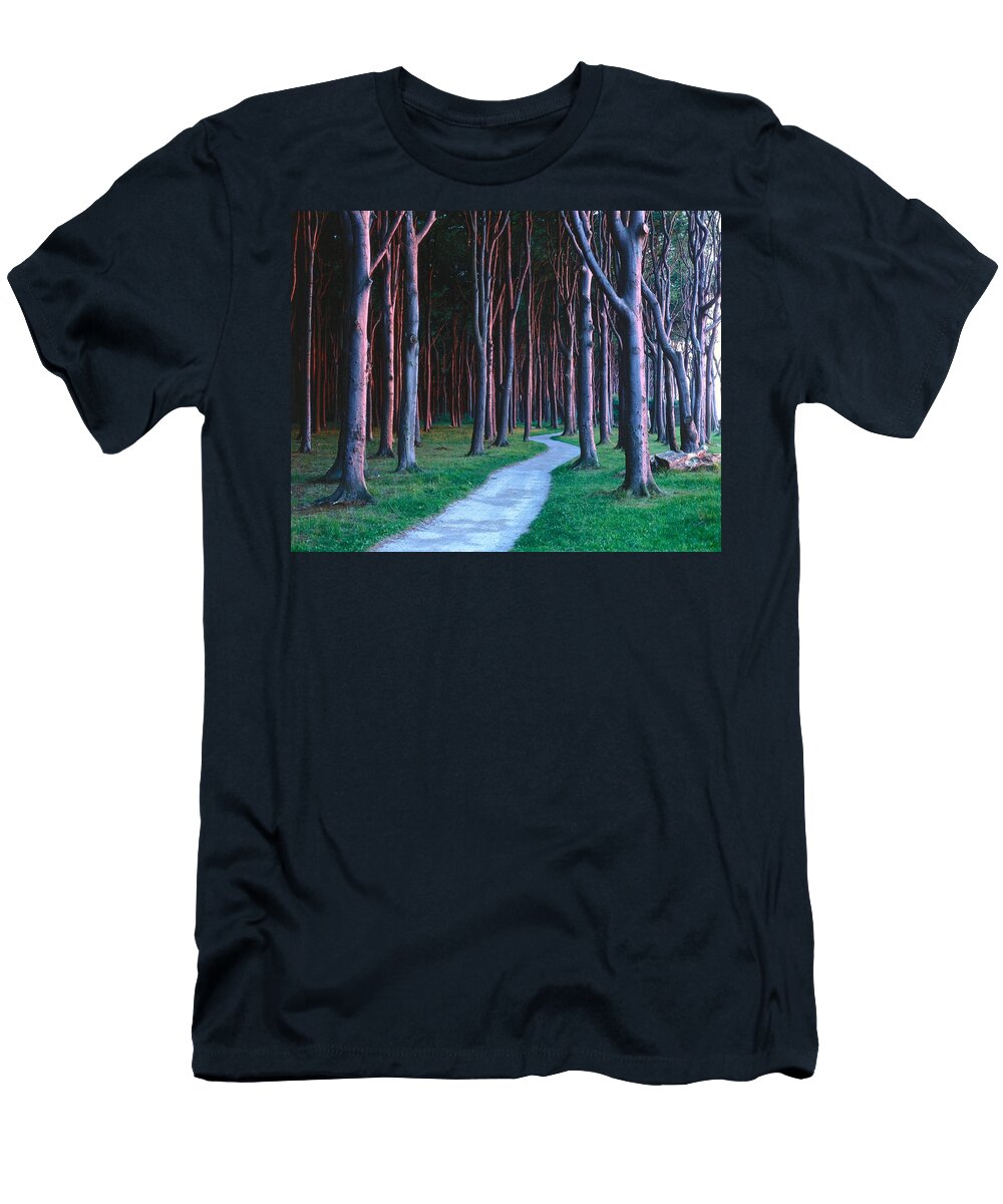 Germany Ghost Forest of Nienhagen Reinhard Schmid T-Shirt
