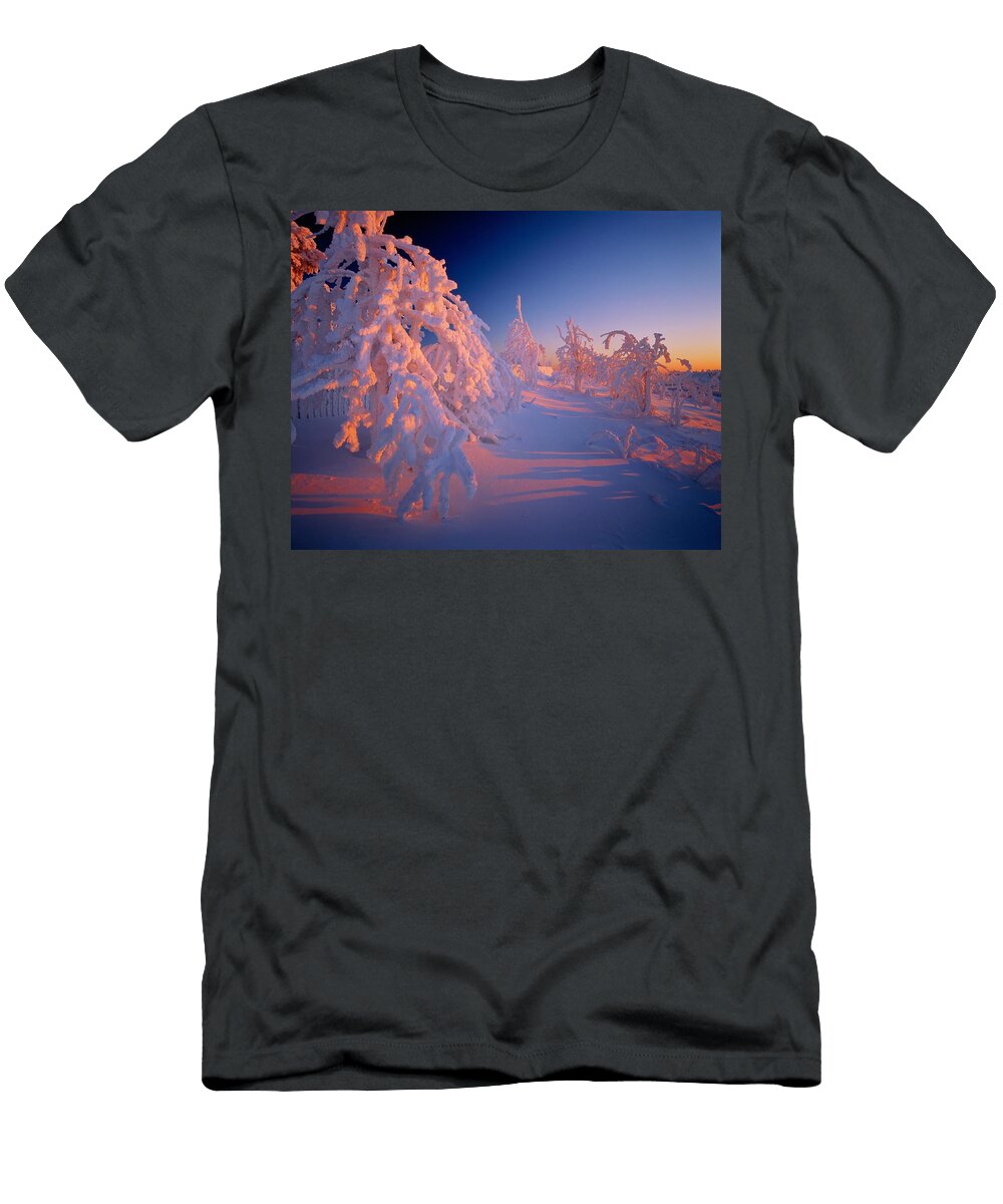 Germany Saxony Erz Mountains Reinhard Schmid T-Shirt