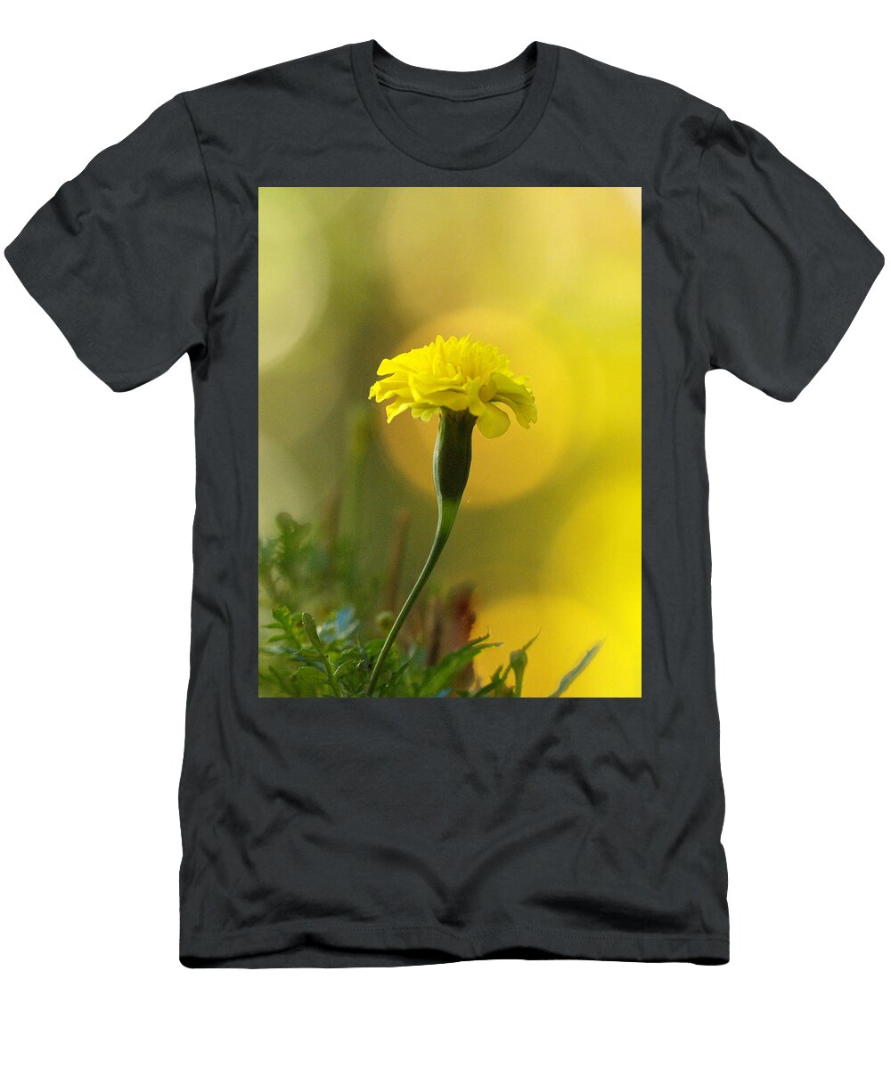 Golden Mood Dorothy Lee T-Shirt