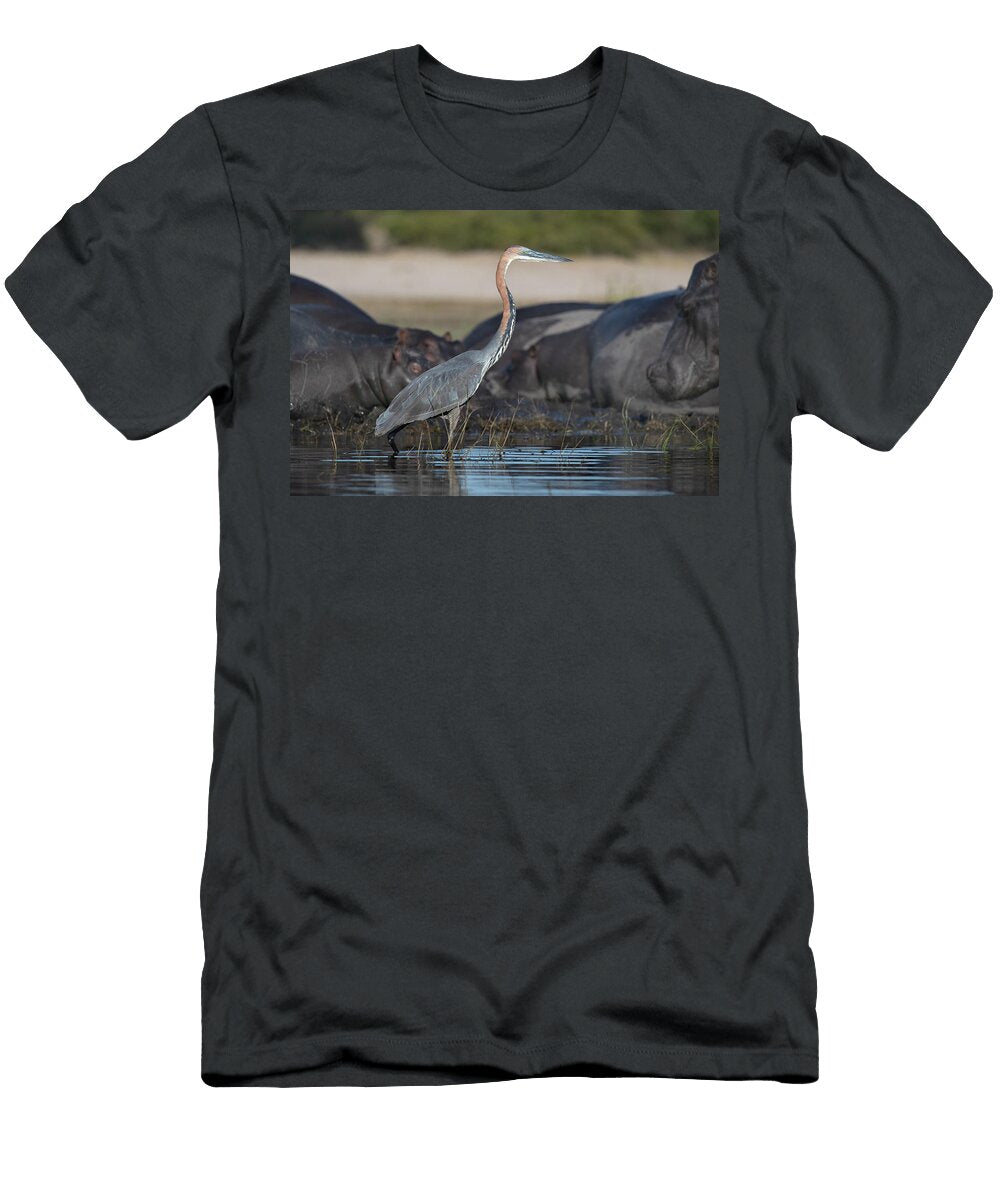 Goliath Heron Wading in Shallow Water Chobe National Park Ann Steve Toon Natureplcom T-Shirt