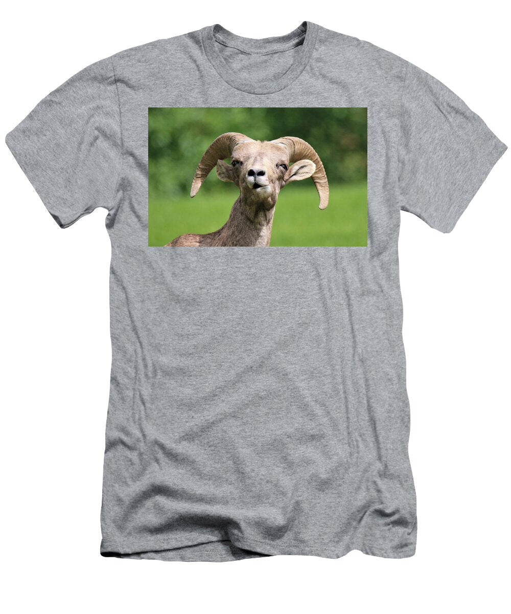 Goofy Boy Larry Kniskern T-Shirt