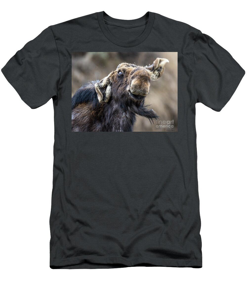 Goofy Funny Moose Portrait in Grand Teton National Park Wyoming Phillip Espinasse T-Shirt