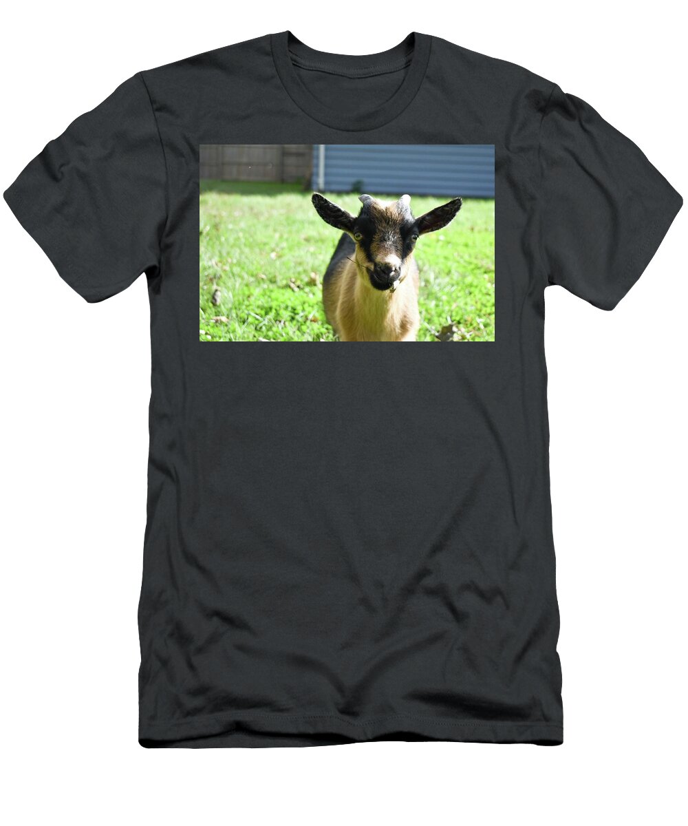 Goofy Goat Willow Vandoloski T-Shirt