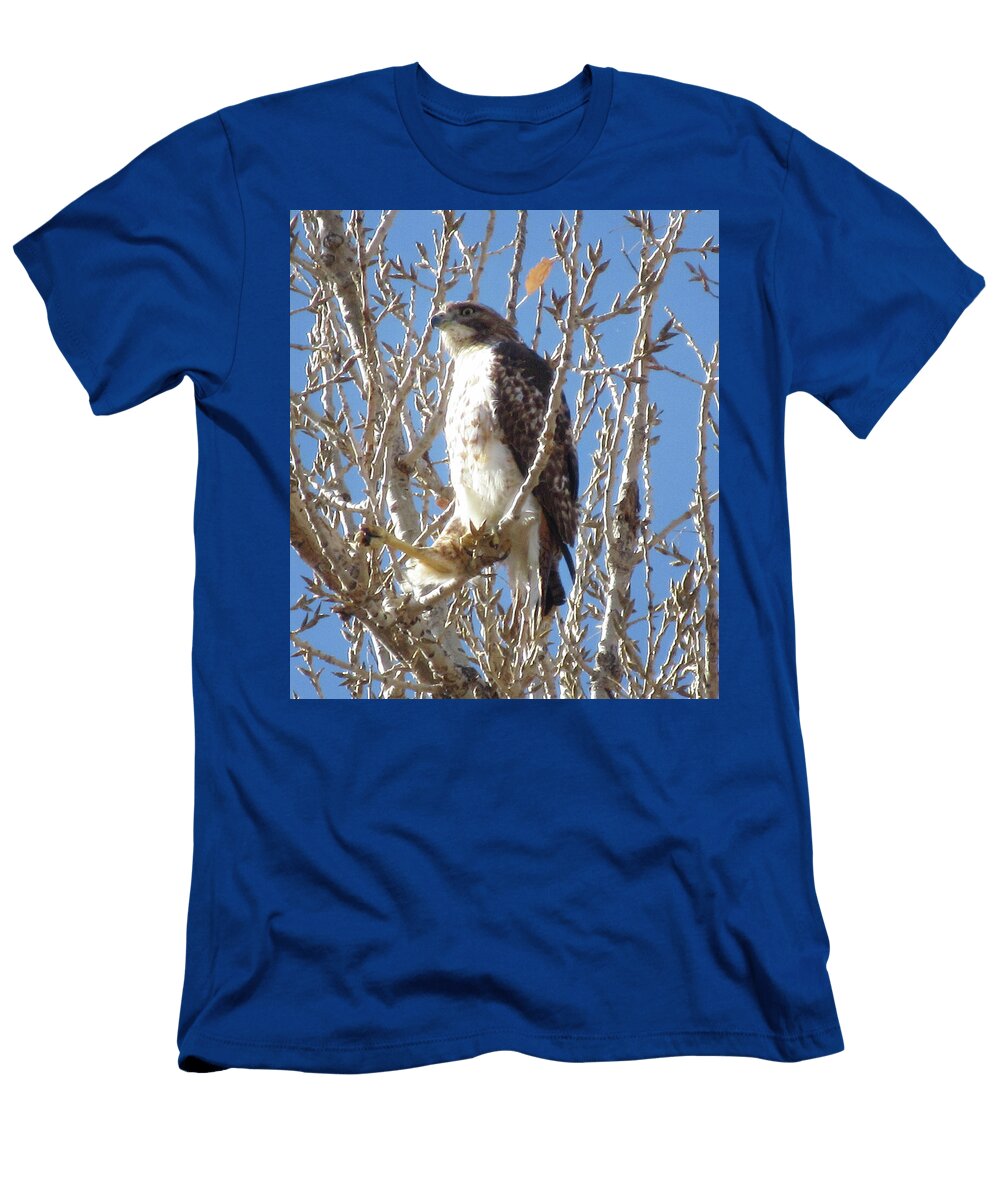 Goofy Hawk Catloaf Bread T-Shirt