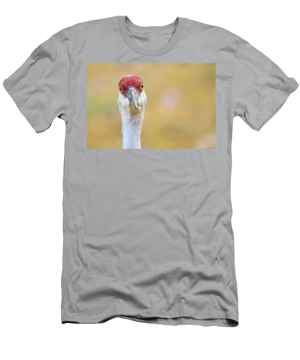 Goofy Looks Brook Burling T-Shirt