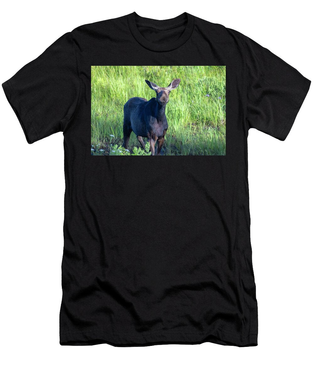 Goofy Moose White Mountain Images T-Shirt