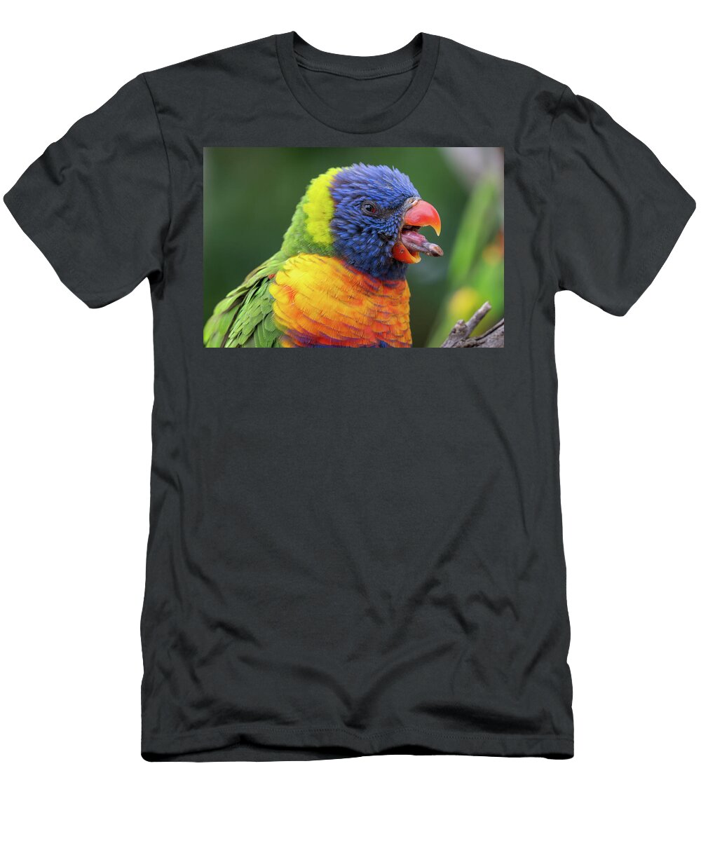 Goofy Rainbow Lorikeet Candice Lowther T-Shirt