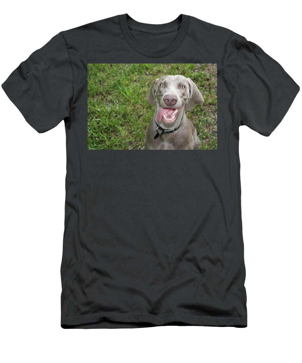 Goofy Weimaraner Elizabeth Clay T-Shirt