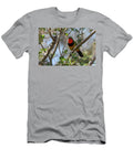 Gorgeous Bush Shrike Imfolozi Game Reserve Kwazulu Natal Ann Steve Toon Natureplcom T-Shirt