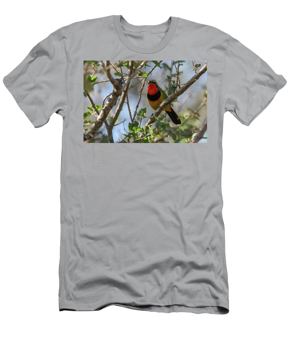 Gorgeous Bush Shrike Imfolozi Game Reserve Kwazulu Natal Ann Steve Toon Natureplcom T-Shirt