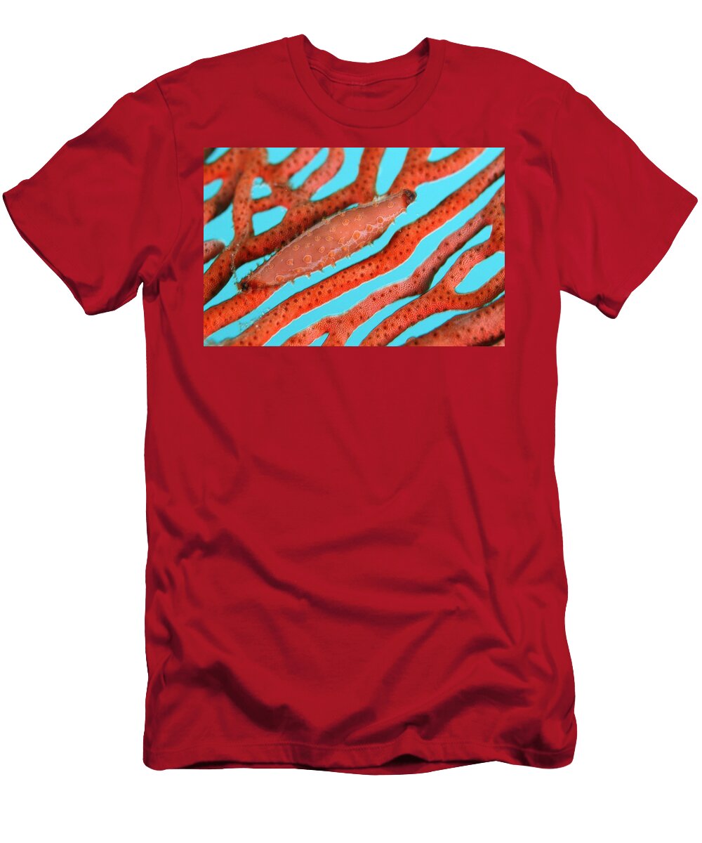 Gorgonia Papua New Guinea Roberto Rinaldi T-Shirt