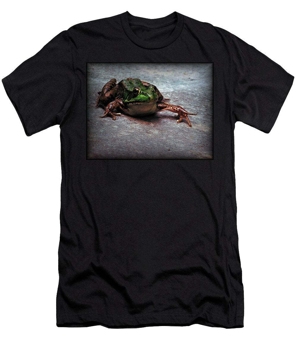 Granter of Three Wishes Danielle R T Haney T-Shirt