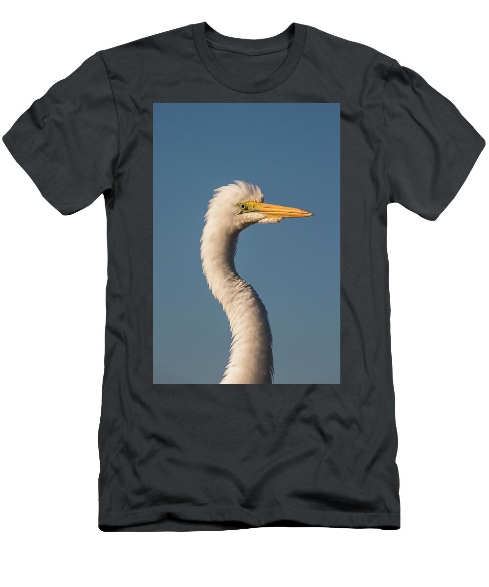 Great Egret Zimanga Private Game Reserve Kwazulu Natal Ann Steve Toon Natureplcom T-Shirt