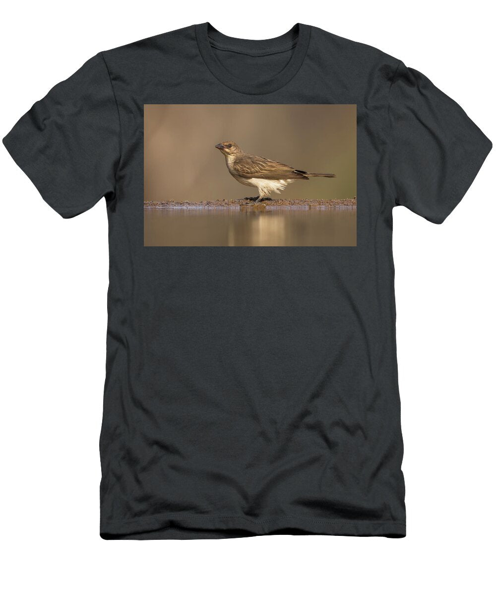 Greater Honeyguide At Water Zimanga Private Game Reserve Ann Steve Toon Natureplcom T-Shirt