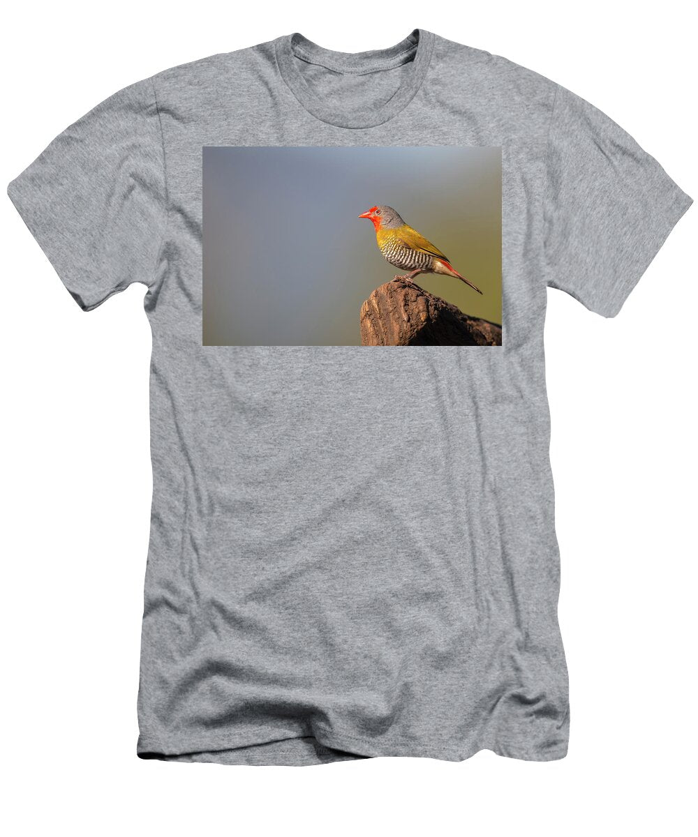Green Winged Pytilia Portrait Zimanga Game Reserve Ann Steve Toon Natureplcom T-Shirt