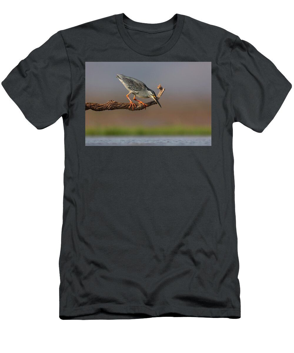 Greenbacked Heron Peering From Perch Zimanga Private Game Ann Steve Toon Natureplcom T-Shirt