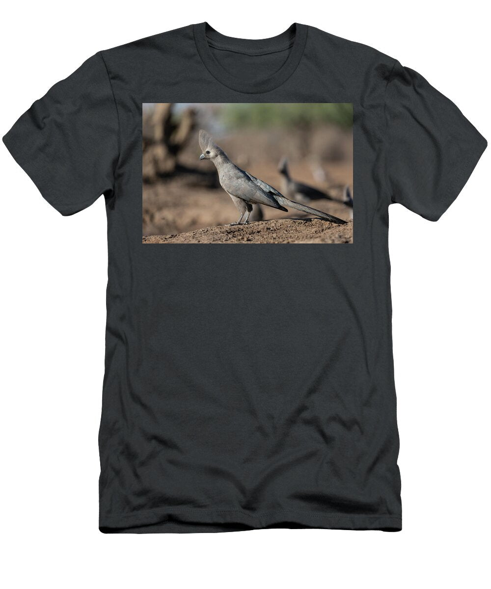 Grey Go Away Bird Mashatu Game Reserve Ann Steve Toon Natureplcom T-Shirt