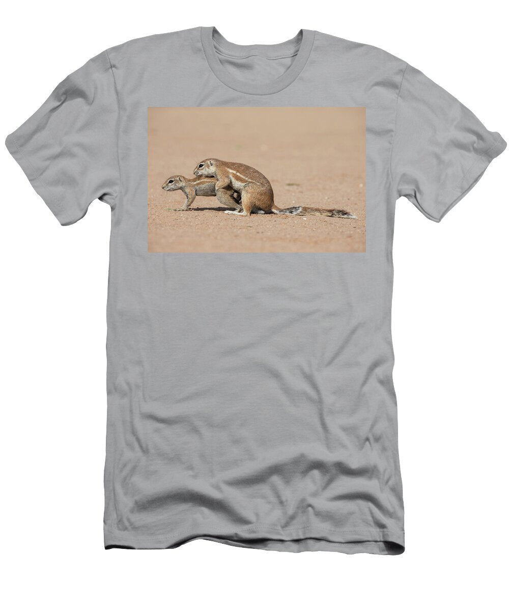 Ground Squirrels Mating Kgalagadi Transfrontier Park Ann Steve Toon Natureplcom T-Shirt