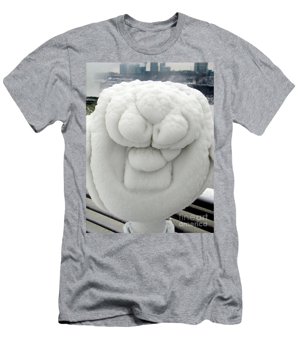 Grumpy Sightseer At Niagara Falls Rose Santuci Sofranko T-Shirt