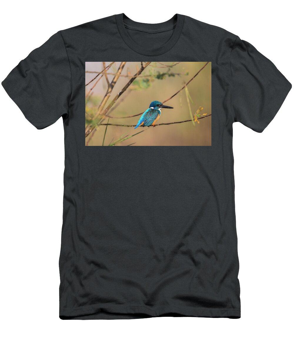 Half Collared Kingfisher Chobe River Ann Steve Toon Natureplcom T-Shirt