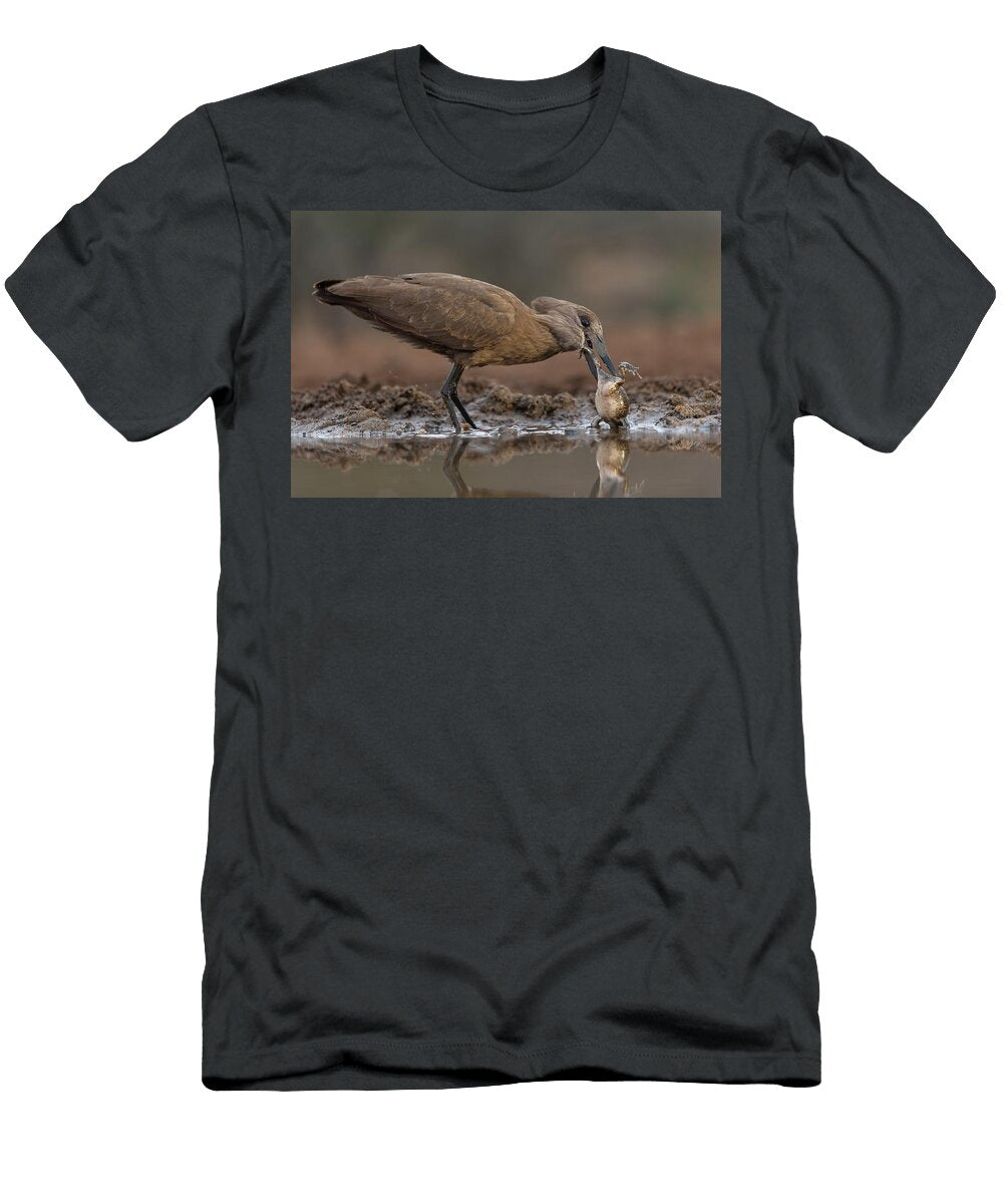Hamerkop Eating Frog Zimanga Private Game Reserve Ann Steve Toon Natureplcom T-Shirt