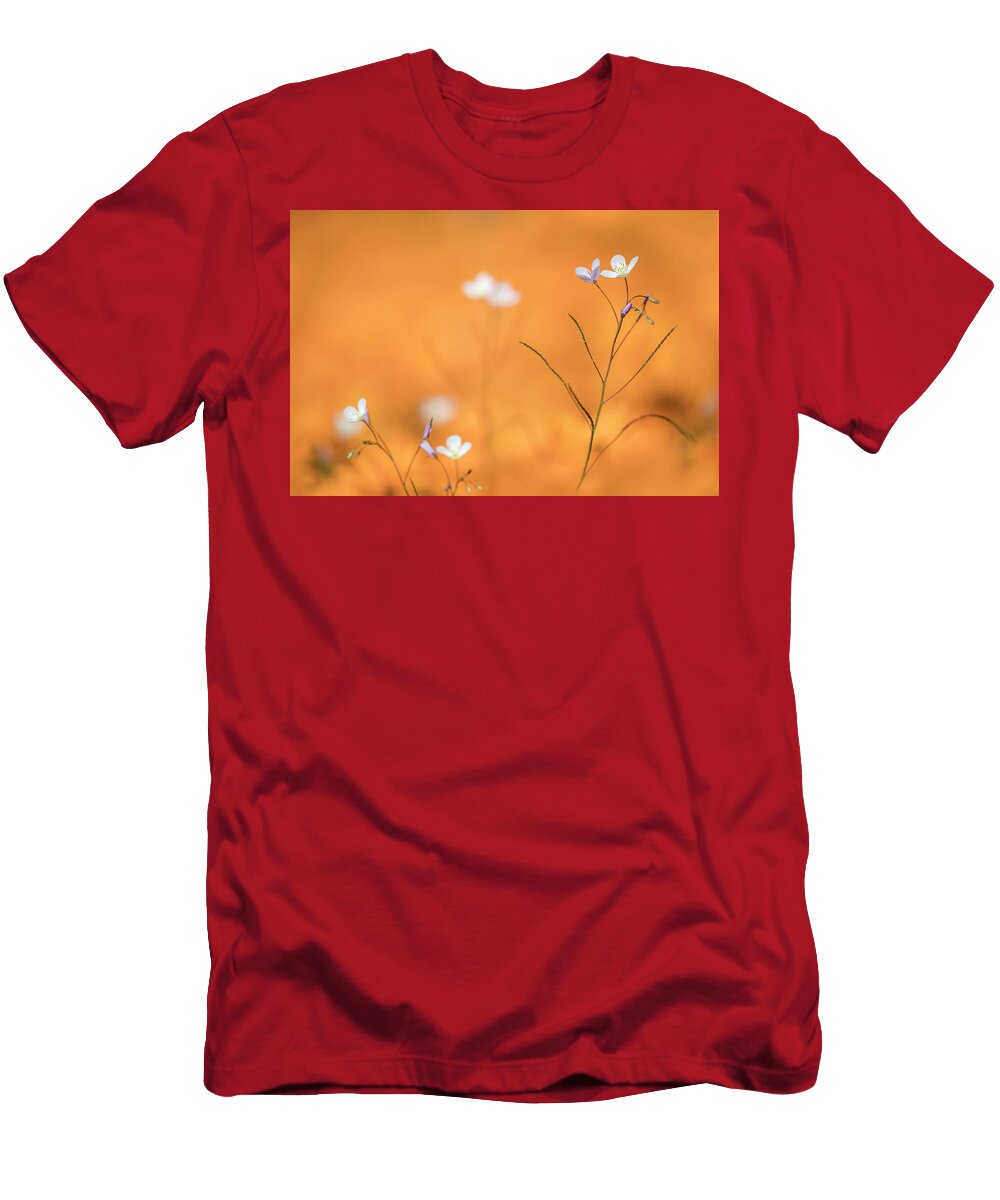 Heliophila Sp Flowers Namaqua National Park Northern Ann Steve Toon Natureplcom T-Shirt